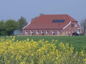 A red-roofed building with solar panels, surrounded by a field of yellow flowers.