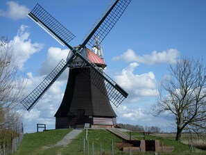 Unclassified image, 4 of 26, button