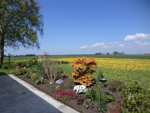 Ein Garten mit verschiedenen Pflanzen und Blumen, ein Baum und ein Feld voller gelber Blüten im Hintergrund.