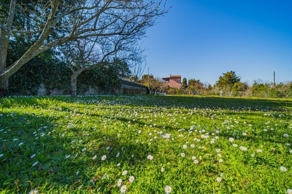 Terrain de l’hébergement 