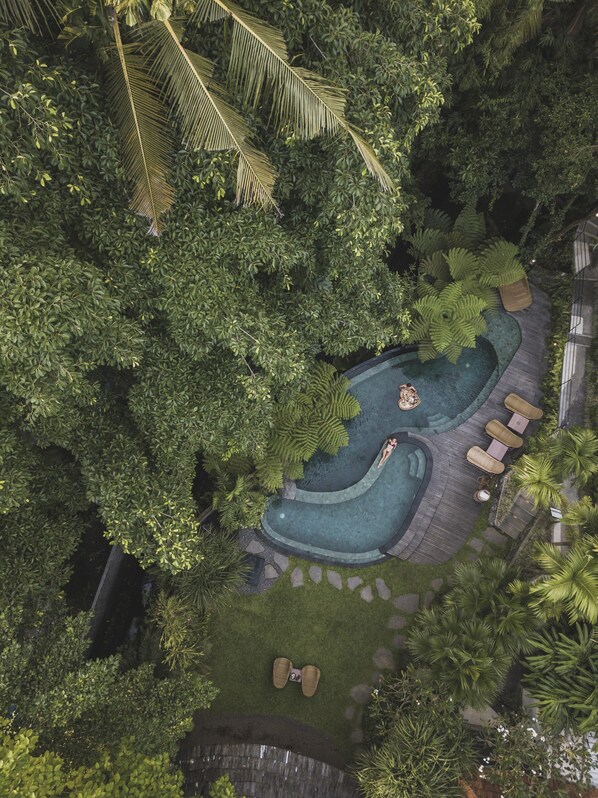 Vista aérea de un resort con piscina, sillas de descanso y densa vegetación tropical.