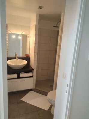 Shower, towels, toilet paper