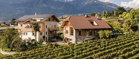 المنشأة من الخارج