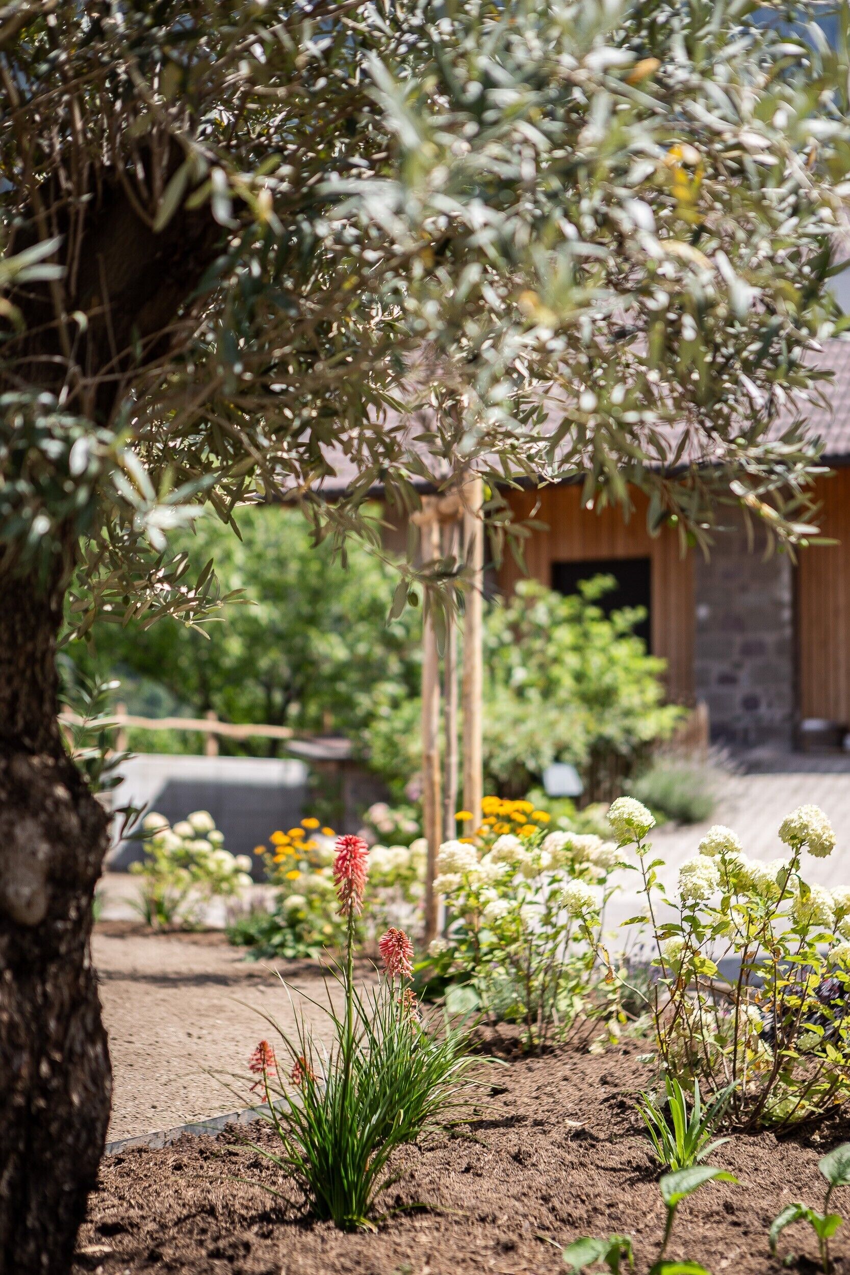 Terrein van de accommodatie