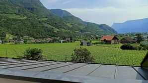 Ein Weinberg mit Häusern und Bergen im Hintergrund.