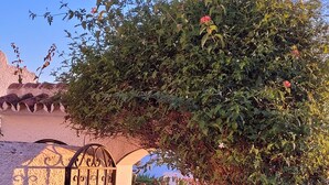 A gated entrance with a wrought iron gate, a stone wall, and lush greenery.