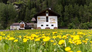 Außenbereich
