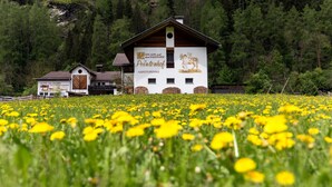 Ein Gebäude mit einem Schild, auf dem 'Peitenhof' und 'Agriturismo' stehen, inmitten eines gelben Blumenfeldes.