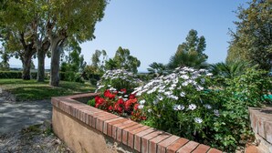 Ein Garten mit Ziegelpflanzgefäß, Bäumen und blauem Himmel.