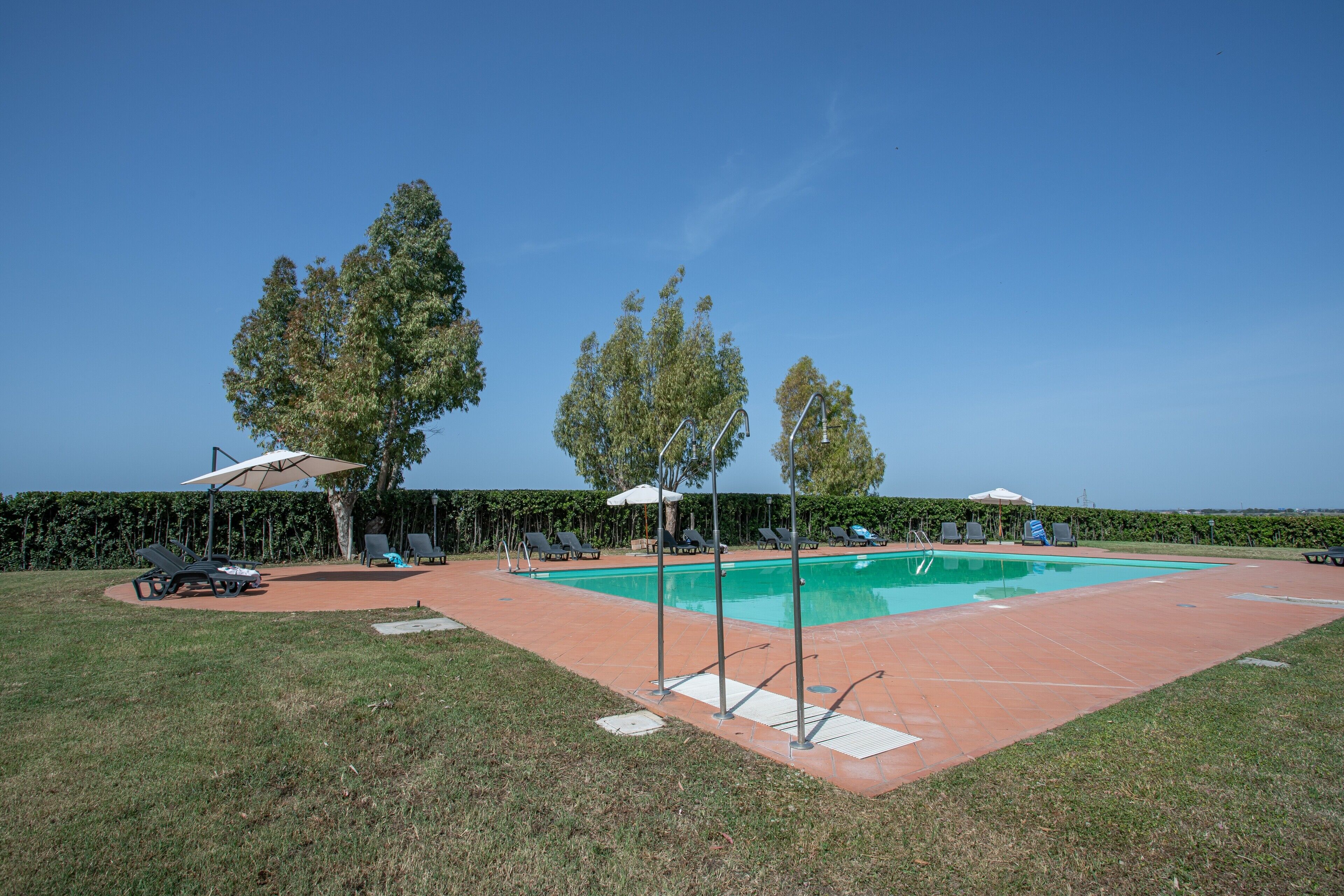 A swimming pool with lounge chairs and umbrellas, surrounded by trees and a clear sky.