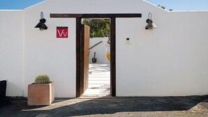 Un edificio blanco con una puerta de madera, un cactus en maceta y una hamaca.
