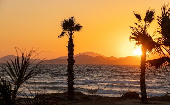 Escena de playa con palmeras y montañas al fondo durante el atardecer.