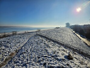 Nicht klassifiziertes Bild, 4 von 37, Schaltfläche