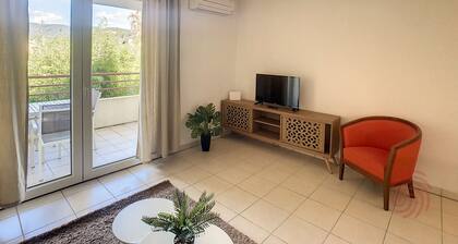 Bel F2 climatisé avec terrasse, proche Thermes et centre-ville, animaux acceptés