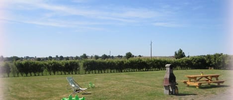 Overnattingsstedets uteområder