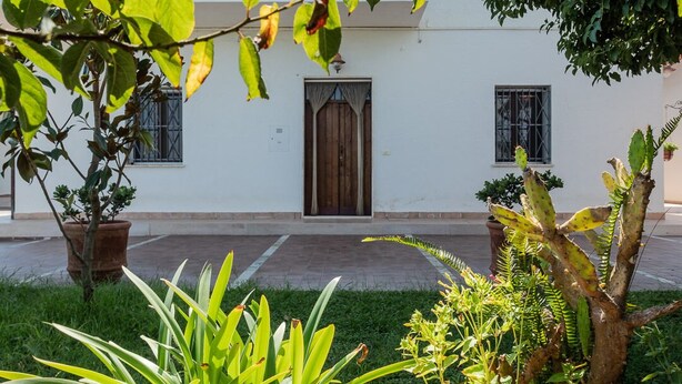 Un patio con un edificio blanco que tiene una puerta y ventanas de madera, rodeado de plantas en macetas y follaje.