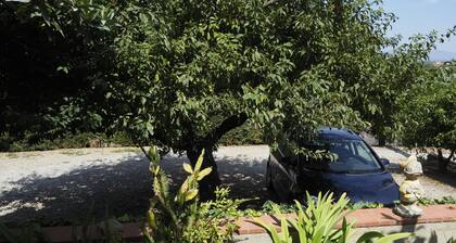 Cozy abode surrounded by greenery, just 10 minutes from the sea