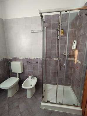Ducha, secador de pelo, bidé y toallas