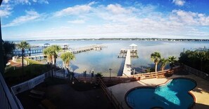 A waterfront view with a swimming pool, dock, and palm trees. - B.E.A.C.H.🏖️ Best escape anyone can have🌊 (Gulf Shores)