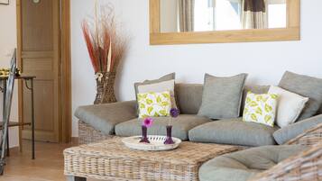 Télévision, cheminée, lecteur de DVD, livres