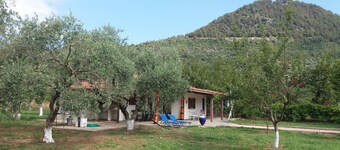 Best Thassos Golden Beach 1