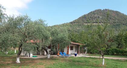 Best Thassos Golden Beach 1