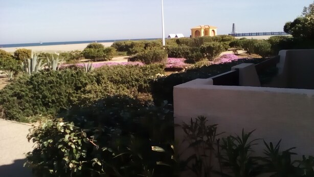 En anlagt have med forskellige planter og buske, en sti samt en fjerntliggende udsigt over stranden og havet.