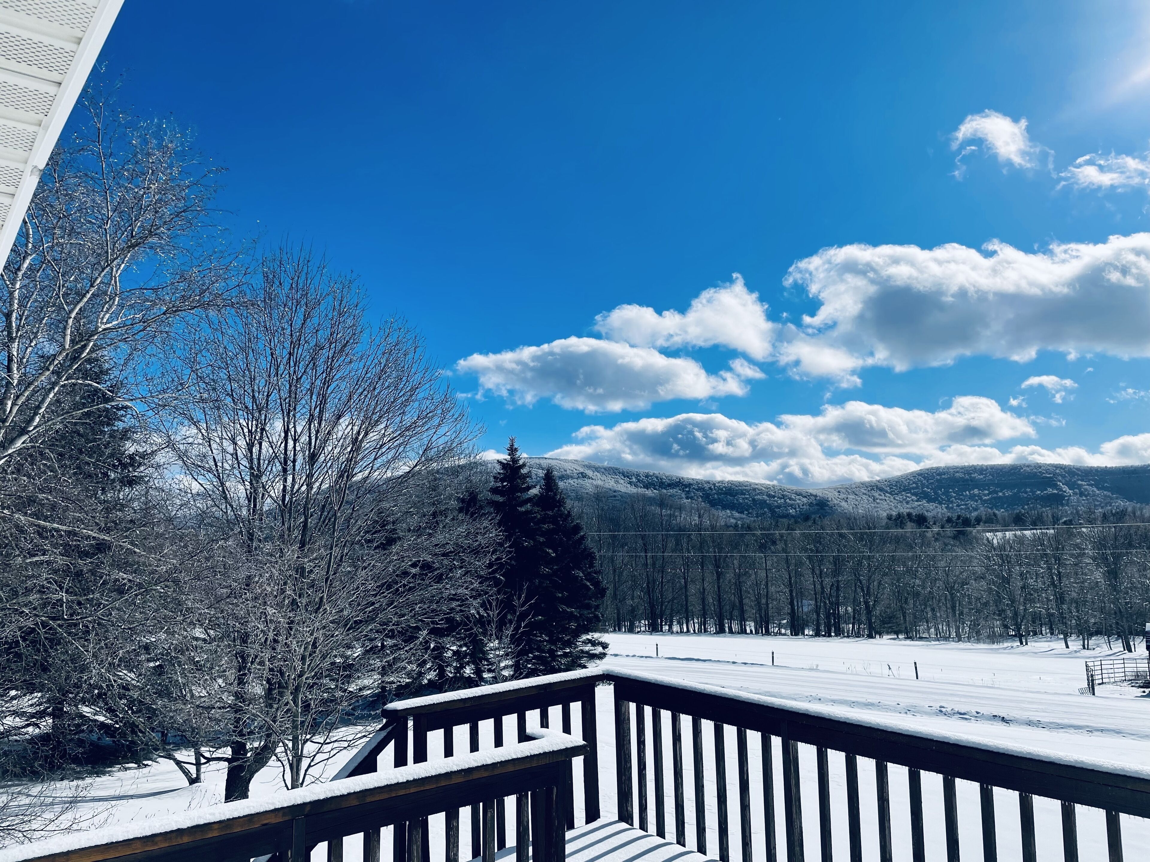 The Serene Gem! 10 min to Windham!