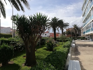 A landscaped area with palm trees, a grassy lawn, and a building with balconies.