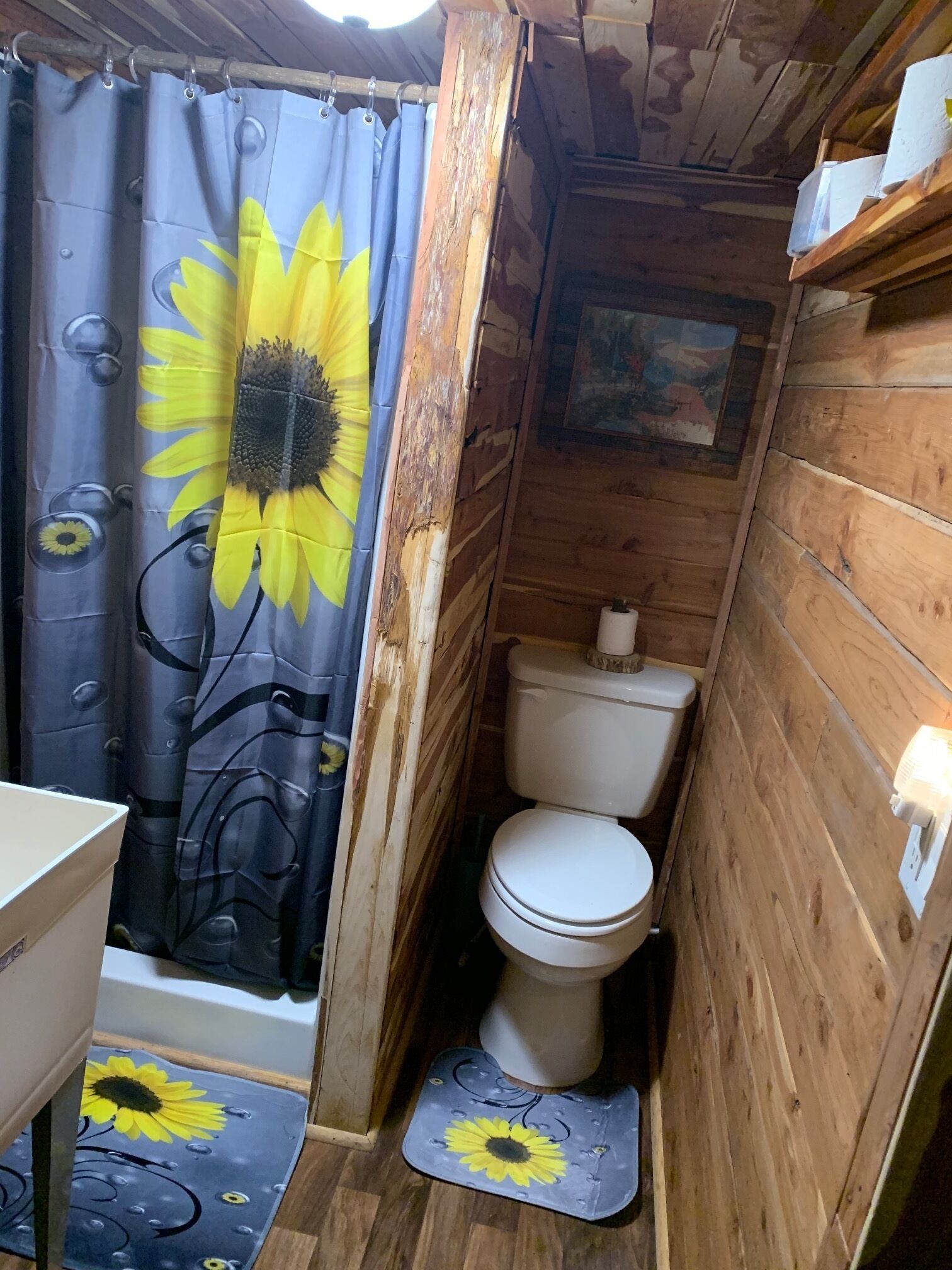 Quaint Country Cabin - Experience the Ozarks