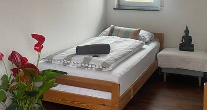 Private Room 3 - Bright Rooms with Wi-Fi, Terrace between Freiburg and France,