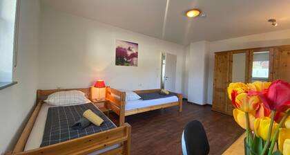 Private Room 3 - Bright Rooms with Wi-Fi, Terrace between Freiburg and France,