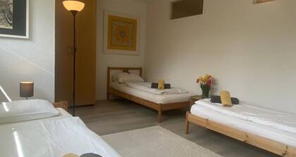 Studio Apartment in Souterrain in Freiburg - Gasthaus Privatzimmer in Freiburg im Breisgau