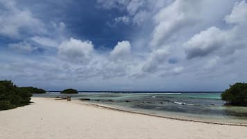 Playa en los alrededores, camastros y toallas de playa