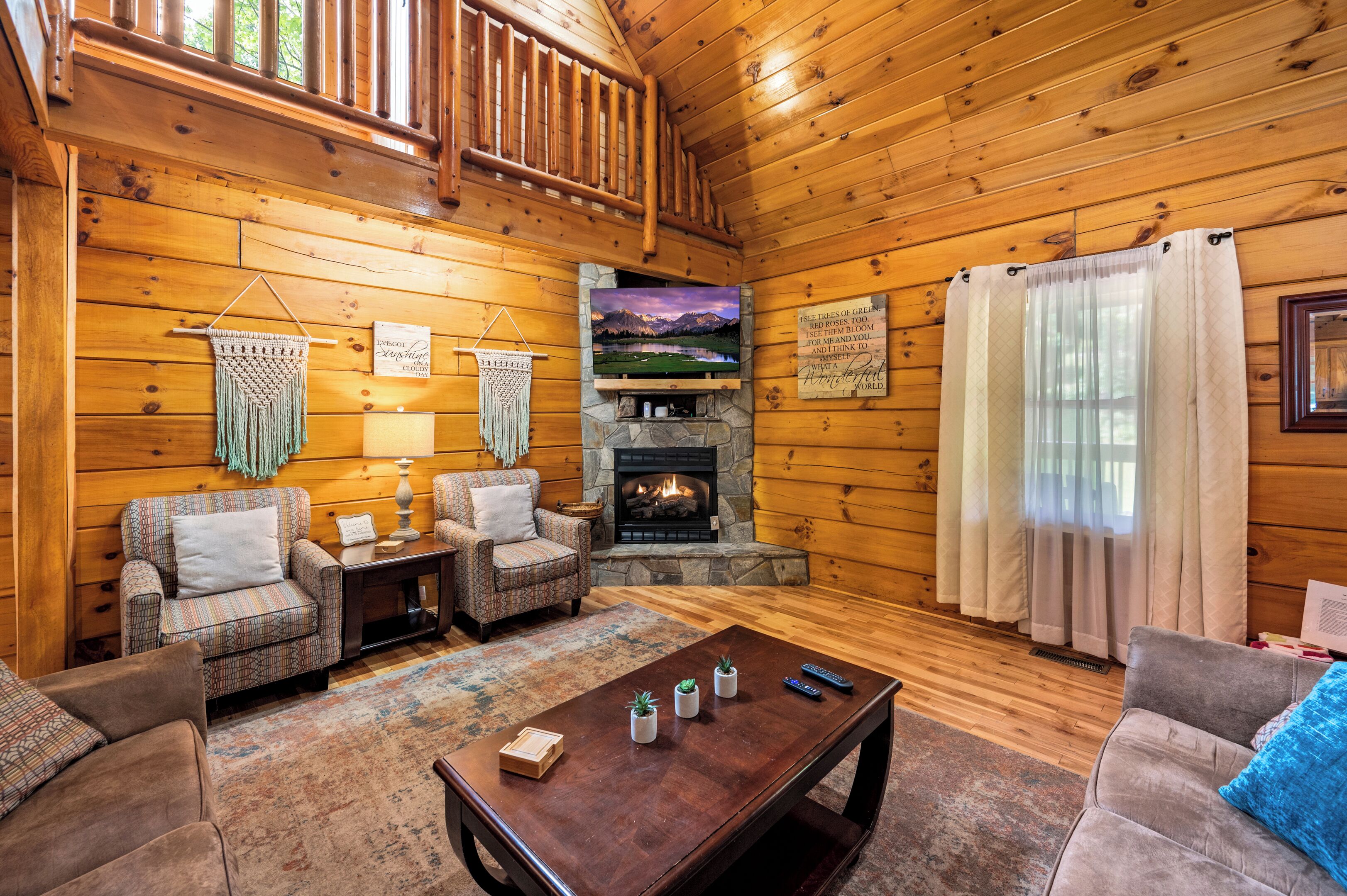 Smart TV, chimenea, videojuegos y reproductor de DVD 