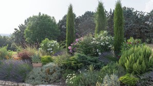 A garden with various plants and trees. - Stone house, private pool, panoramic view, close to the Gorges de l'Ardèche (Orgnac-l'Aven)