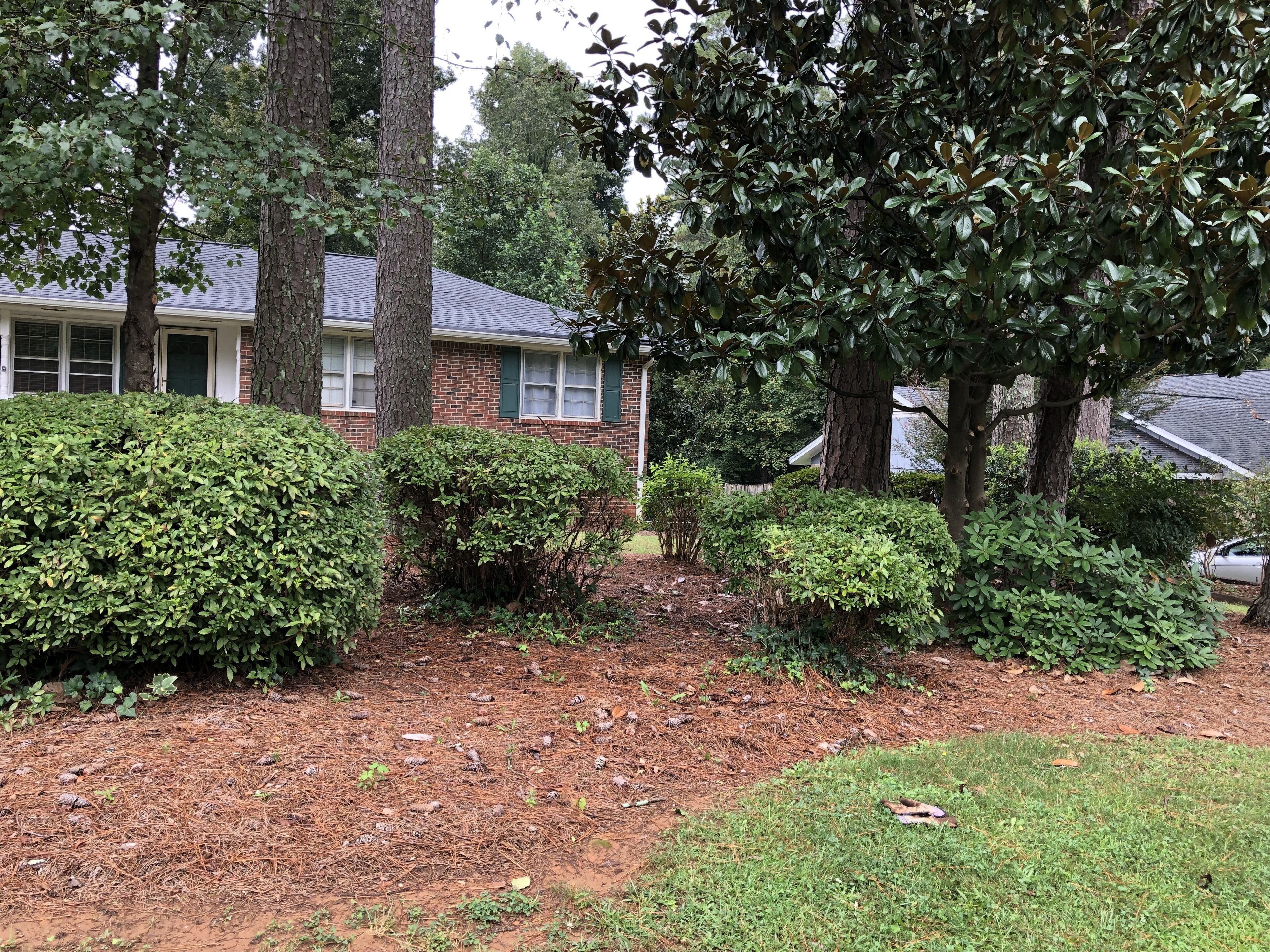 Cozy Home in Great Neighborhood