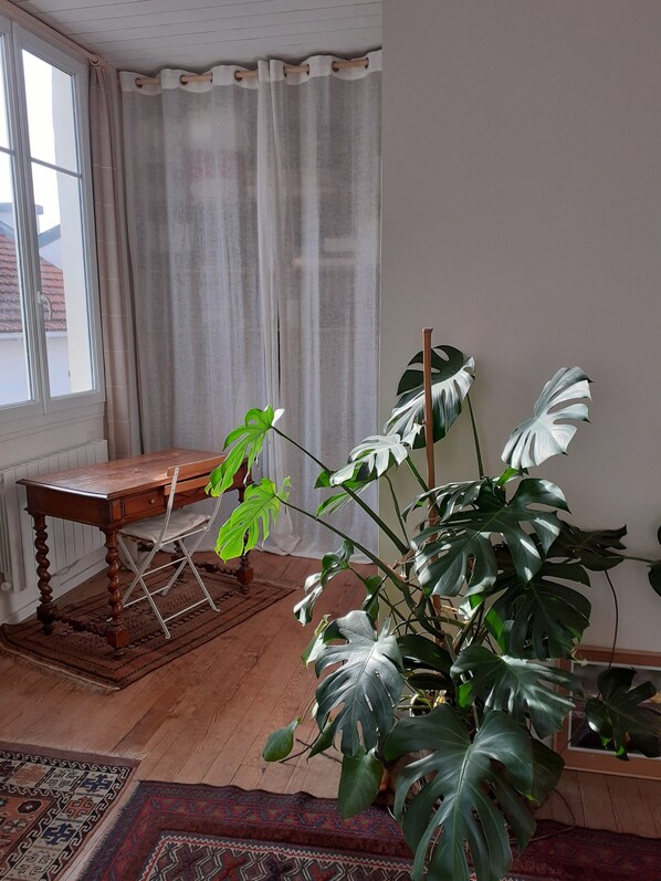Et værelse med et træbord, en stor plante, et mønstret tæppe og et vindue med gardiner.