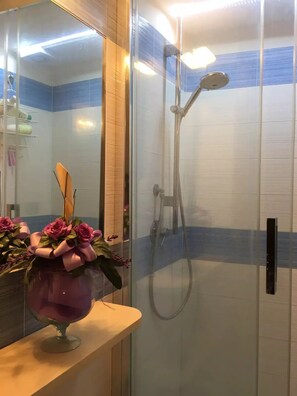 Shower, hair dryer, bidet, towels