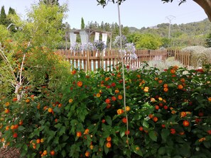 Property grounds - Family house with sheltered pool, wifi, mountain views (Sóller)