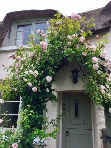 Thatched Devon longhouse, close to sea, with private indoor swimming pool. 