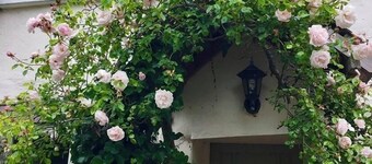 Thatched Devon longhouse, close to sea, with private indoor swimming pool. 