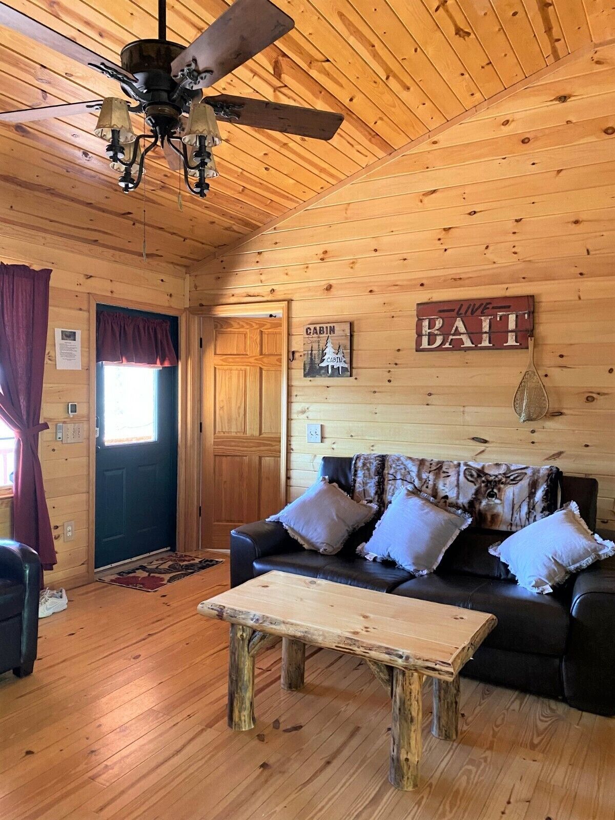Cheerful quiet mountain cabin on outer edge of Murphy 