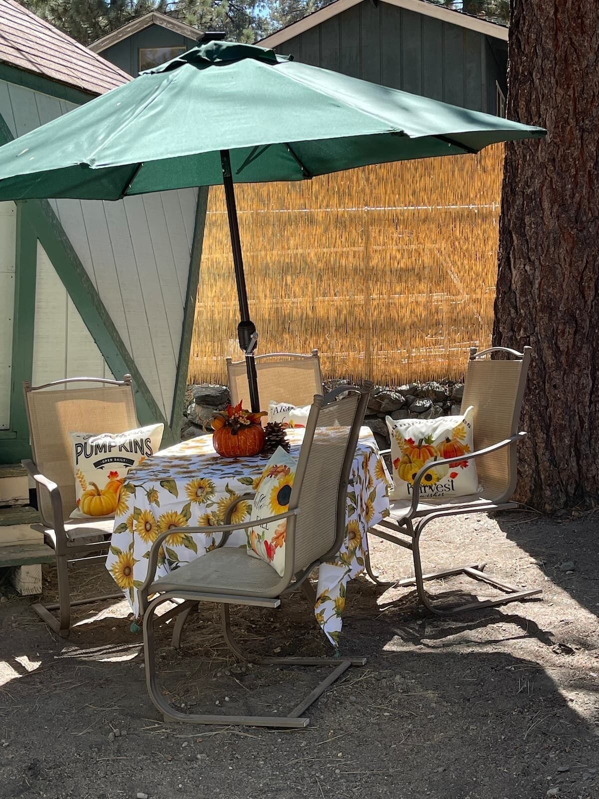 An outdoor seating area with two metal chairs and a table covered with a sunflower tablecloth.