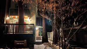 Un chemin menant à un bâtiment, avec un banc et des arbres de chaque côté.
