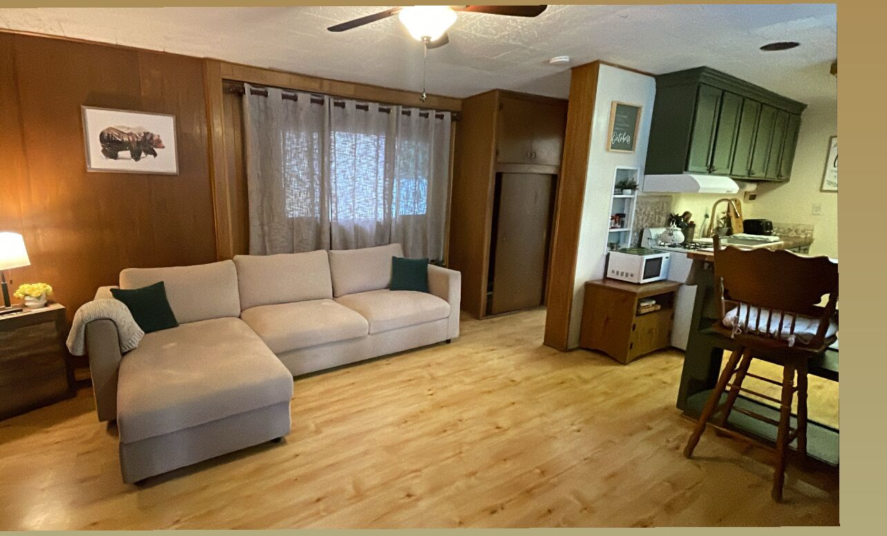 Wrightwood Cozy Family Cabin! Walk to town! Pets, Air Purifier, BBQ, Fireplace!