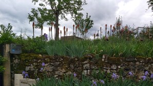 A stone wall with a drainage system, surrounded by lush greenery and purple flowers. - Quercy farmhouse in the heart of the Lot, ideal for family with outdoor space  (Le Bourg)