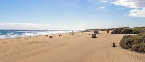 Playa