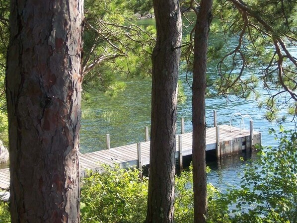 A wooden dock extending into a calm body of water surrounded by trees. - Beautiful, Private, Quiet Island Property (Meredith)