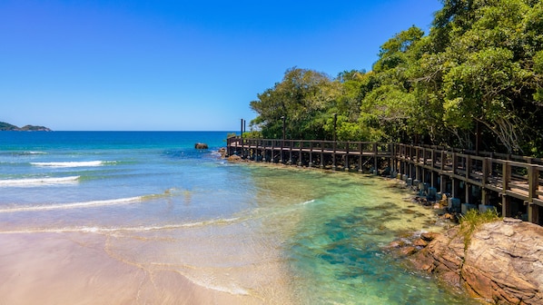 Plage à proximité, sable blanc, 3 bars de plage